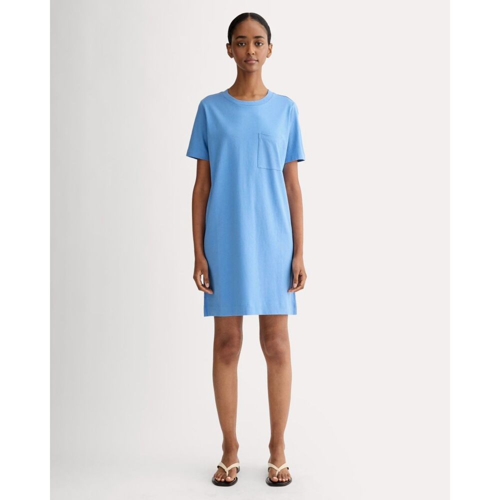 Everlane The Organic Cotton Weekend Tee Dress Size Small Blue Minimalist